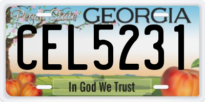GA license plate CEL5231