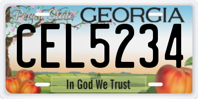 GA license plate CEL5234