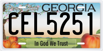 GA license plate CEL5251
