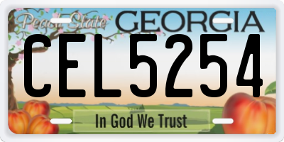 GA license plate CEL5254