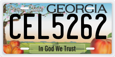 GA license plate CEL5262