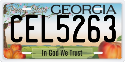 GA license plate CEL5263