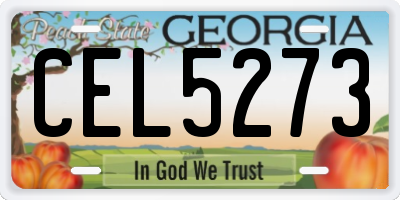 GA license plate CEL5273