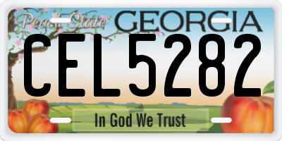 GA license plate CEL5282