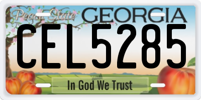 GA license plate CEL5285