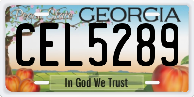 GA license plate CEL5289