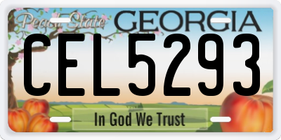 GA license plate CEL5293