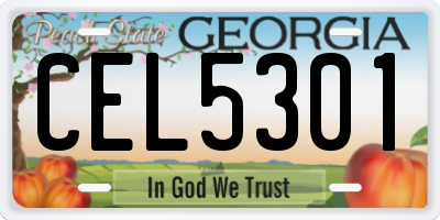 GA license plate CEL5301