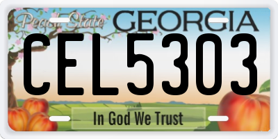 GA license plate CEL5303