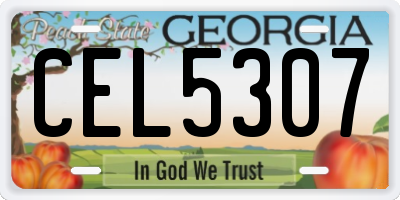 GA license plate CEL5307