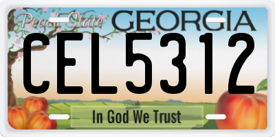 GA license plate CEL5312