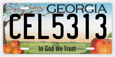 GA license plate CEL5313