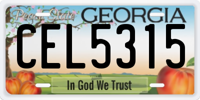 GA license plate CEL5315