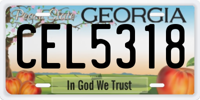 GA license plate CEL5318
