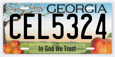 GA license plate CEL5324