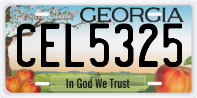 GA license plate CEL5325