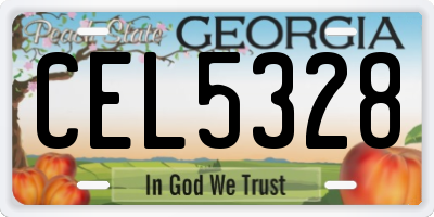GA license plate CEL5328