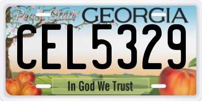 GA license plate CEL5329