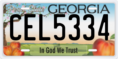 GA license plate CEL5334