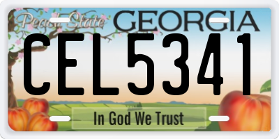 GA license plate CEL5341