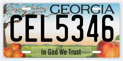 GA license plate CEL5346