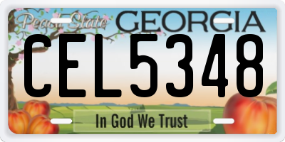 GA license plate CEL5348