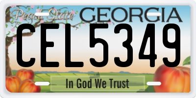 GA license plate CEL5349