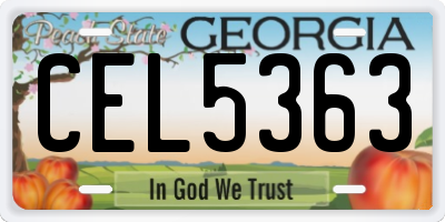 GA license plate CEL5363