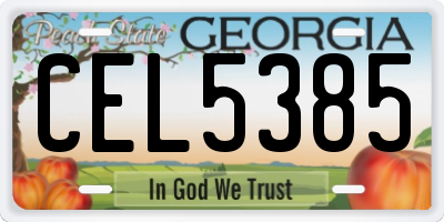 GA license plate CEL5385