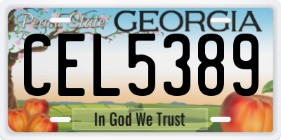 GA license plate CEL5389