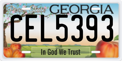GA license plate CEL5393