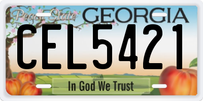 GA license plate CEL5421