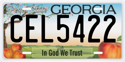 GA license plate CEL5422