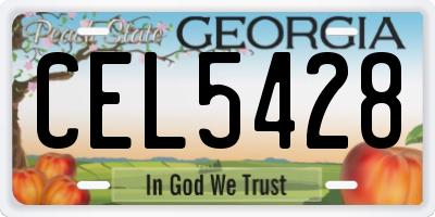 GA license plate CEL5428