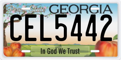 GA license plate CEL5442