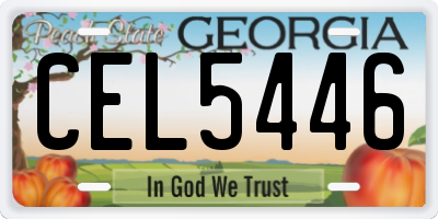 GA license plate CEL5446