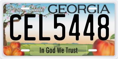 GA license plate CEL5448
