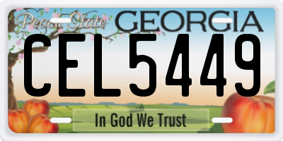 GA license plate CEL5449