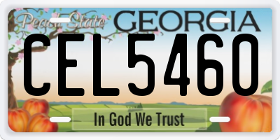 GA license plate CEL5460