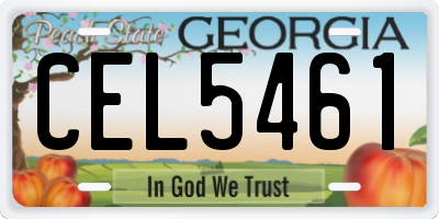 GA license plate CEL5461