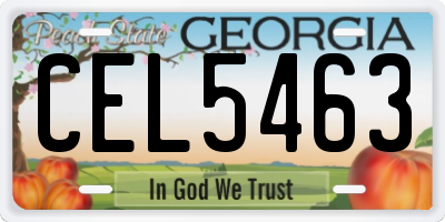 GA license plate CEL5463
