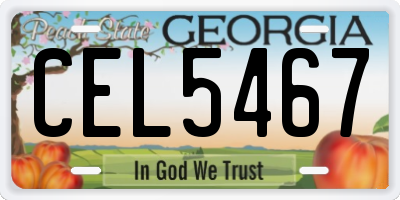GA license plate CEL5467