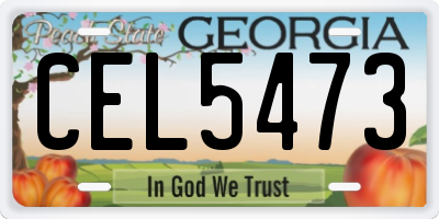 GA license plate CEL5473