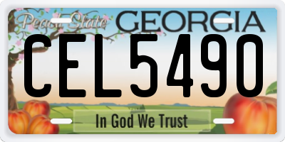 GA license plate CEL5490