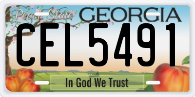 GA license plate CEL5491