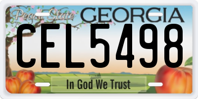 GA license plate CEL5498