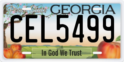 GA license plate CEL5499