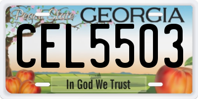 GA license plate CEL5503
