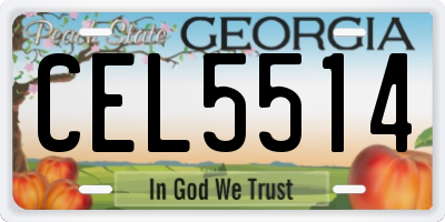 GA license plate CEL5514