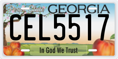 GA license plate CEL5517